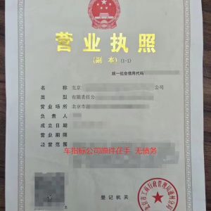 投资公司含车指标营业执照